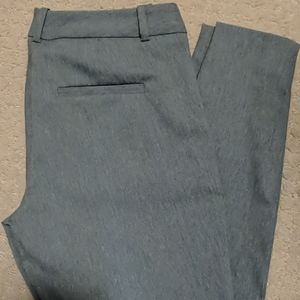 The Limited Exact Stretch Pants